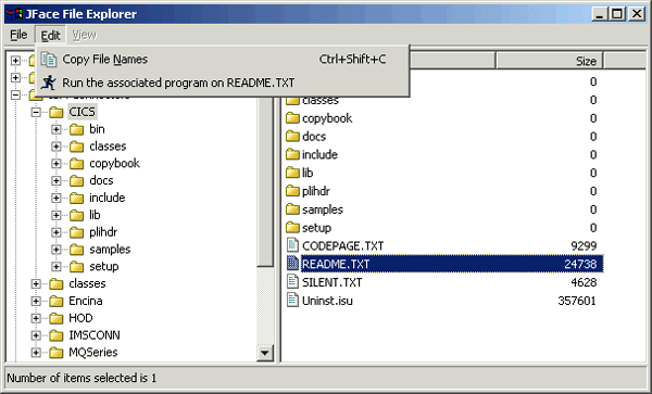 Figure 7. Explorer (version 11), showing Edit menu with a single file selected